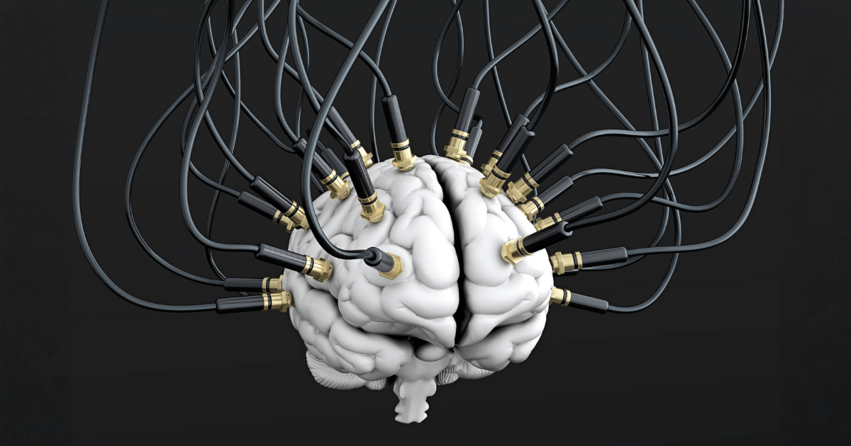 Cervello: in che modo la lettura ne cambia il funzionamento e la struttura nel tempo